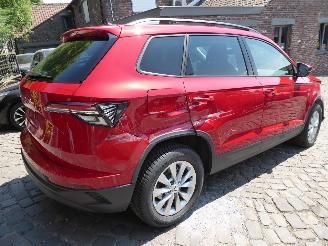 Skoda Karoq Selection picture 6