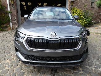 Skoda Karoq Ambition picture 3
