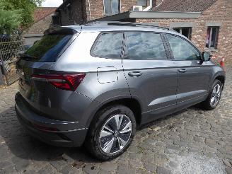Skoda Karoq Ambition picture 5