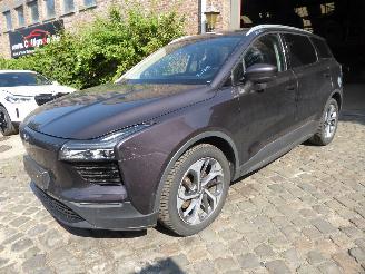 Avarii autoturisme Aiways U5 Premium 2021/3