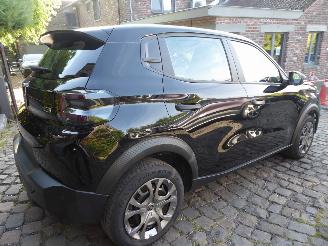 Citroën C3 ë 113 YOU picture 5