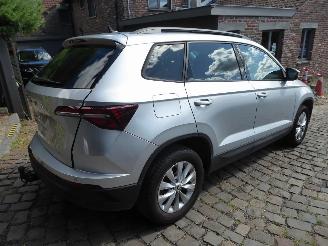 Skoda Karoq Ambition picture 6