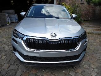 Skoda Karoq Ambition picture 3