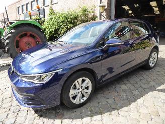 škoda osobní automobily Volkswagen Golf Lim. Life eTSI 2023/8