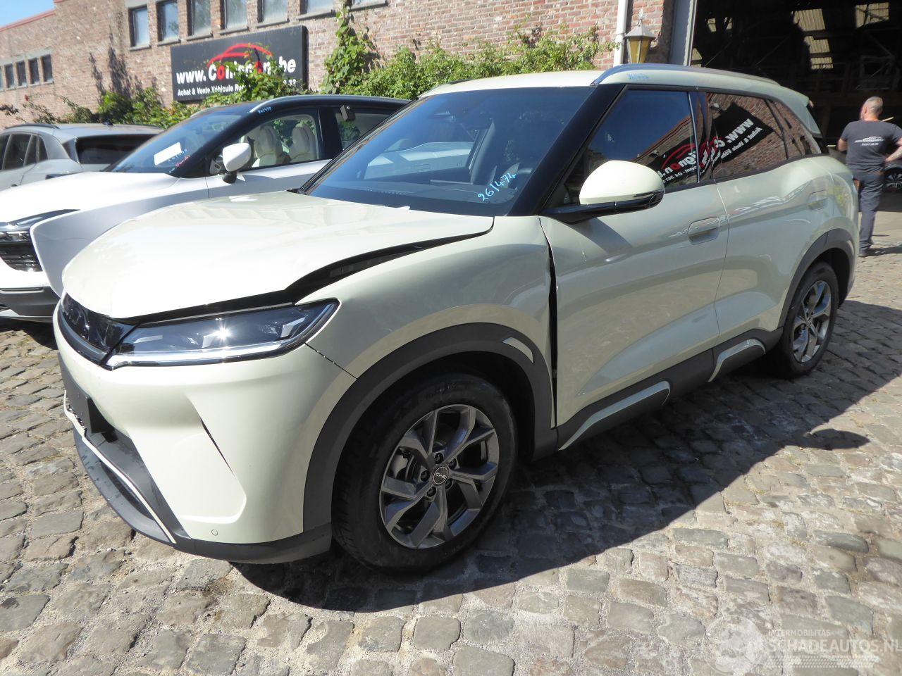 BYD Atto Atto 2 150 kW Comfort