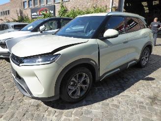 Schadeauto BYD Atto Atto 2 150 kW Comfort 2026/2