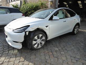 Schadeauto Tesla Model Y Long Range Dual AWD 2024/6