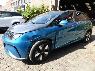 Damaged car BYD Dolphin  2024/9