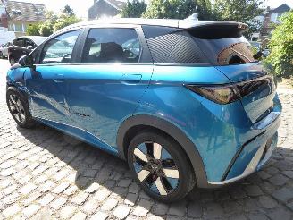 BYD Dolphin  picture 10