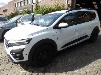 Damaged car Dacia Jogger Expression 2025/9