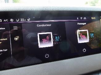 DS Automobiles DS 4 Opera picture 31