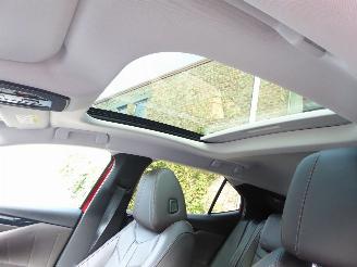 DS Automobiles DS 4 Opera picture 16