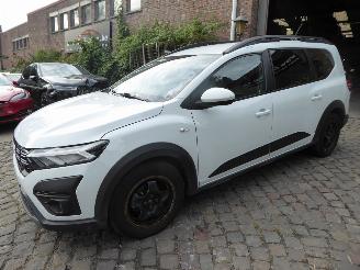 Coche accidentado Dacia Jogger Expression 2024/10