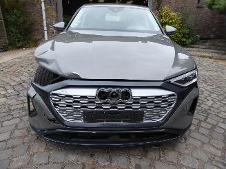 Audi Q8 e-tron 50 quattro advanced picture 2