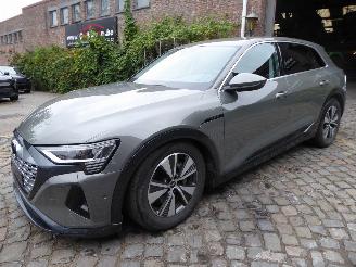 Voiture accidenté Audi Q8 e-tron 50 quattro advanced 2024/8