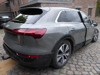Audi Q8 e-tron 50 quattro advanced picture 6