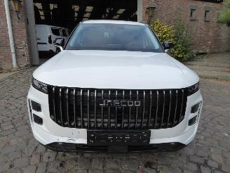 Jaecoo 7 1.5 TGDI PHEV Exclusive picture 2