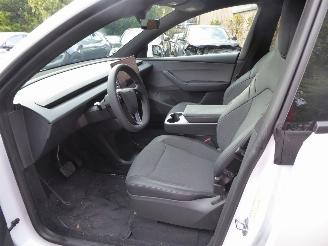 Tesla Model Y RWD picture 10