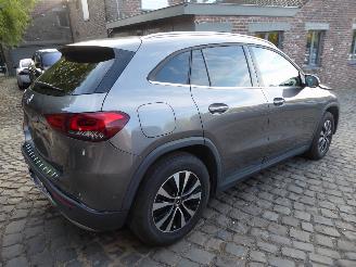 Mercedes GLA 250 e picture 6