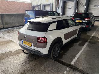 Citroën C4 cactus 1.6 BlueHDi Panorama Camera picture 3