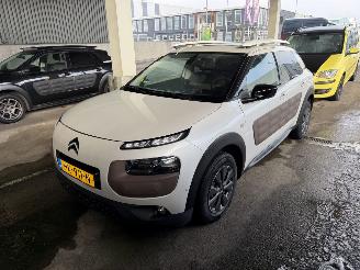 begagnad bil auto Citroën C4 cactus 1.6 BlueHDi Panorama Camera 2015/11