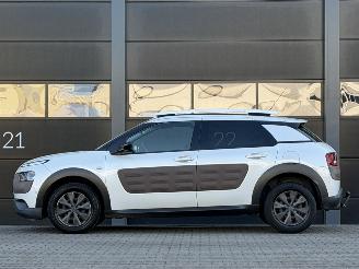 Citroën C4 cactus 1.6 BlueHDi Panorama Camera picture 7
