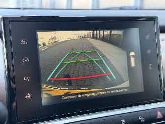 Citroën C4 cactus 1.6 BlueHDi Panorama Camera picture 12