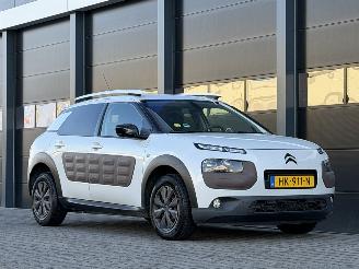 Citroën C4 cactus 1.6 BlueHDi Panorama Camera picture 2
