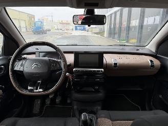 Citroën C4 cactus 1.6 BlueHDi Panorama Camera picture 7