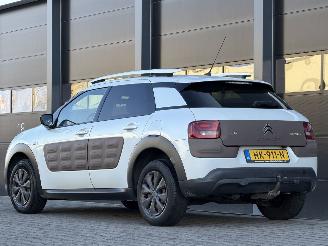 Citroën C4 cactus 1.6 BlueHDi Panorama Camera picture 6