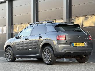 Citroën C4 cactus 1.6 BlueHDi Panorama Camera EURO-6 picture 5
