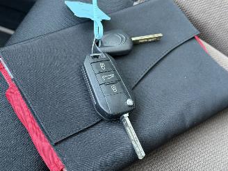 Citroën C4 cactus 1.6 BlueHDi Panorama Camera EURO-6 picture 13