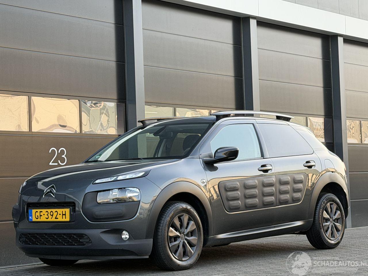 Citroën C4 cactus 1.6 BlueHDi Panorama Camera EURO-6