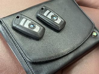 BMW 5-serie 525d Hade-Up Camera Leer picture 20