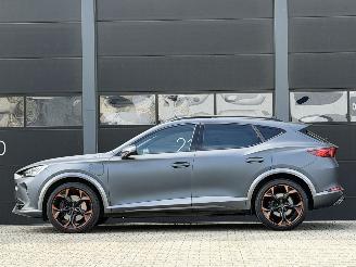 Cupra Formentor 1.4 e-Hybrid VZ Performance Mat Blauw picture 6