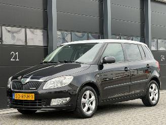 Gebrauchtwagen PKW Skoda Fabia 1.2 TDI Greenline 2011/7