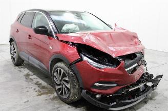 Opel Grandland X picture 2
