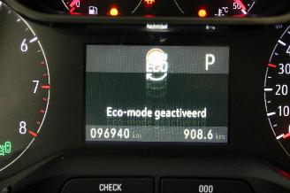 Opel Grandland X picture 13