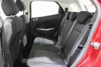 Ford EcoSport  picture 10