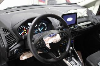 Ford EcoSport  picture 8