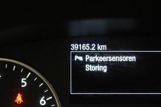 Ford EcoSport  picture 11