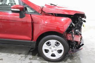 Ford EcoSport  picture 6