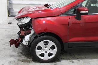 Ford EcoSport  picture 7