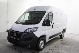 Autoverwertung Fiat Ducato  