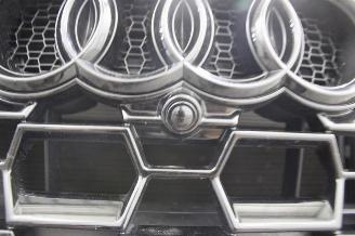 Audi RS Q3 picture 19