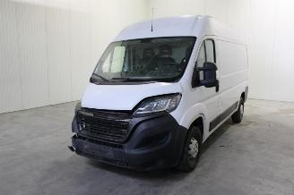 Autoverwertung Fiat Ducato  2021/3