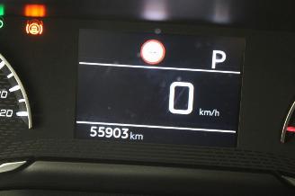 Peugeot 2008  picture 12