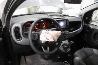 Fiat Panda  picture 9