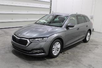 škoda osobní automobily Skoda Octavia  2023/11