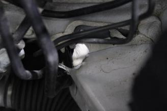 Suzuki Ignis  picture 20